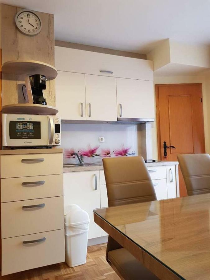 Tulpika 13 Apartamento Moravske Toplice Exterior foto